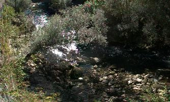 Areuses River, outdoors, mountains, bed, ravine, mountains, walking, alpine, outdoors, swiss, alps, stone, switzerland, hiking, rock, alps, green, boudry, flowing, river, park, summer, gorges de lareuses, gorge, neuchastel, noiraigue, torrent, stream