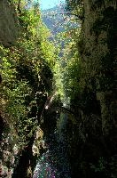 Bridge in the Gorges de l, null