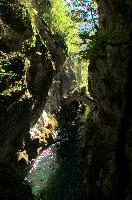 dsc_275312.jpg