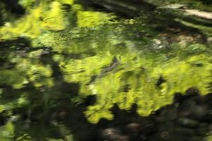 dsc_276222.jpg