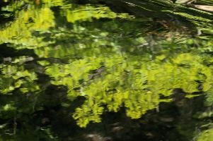 dsc_276226.jpg