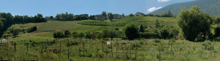 Agricultural landscape at Boudry in Romandie, scenery, outdoors, boudry, wine, countryside, swiss, vineyard, neuchastel, swiss, switzerland, scenic
