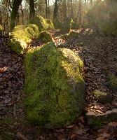 Big, green rock in woods in Neustadt, Germany, neustadt
