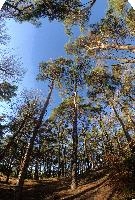 dse_028127-dse_028158_6066523_2024_12_26_12_30_23_83_01_00.jpg