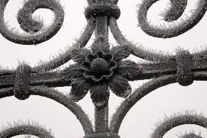 Frost on gate  in Neustadt, Germaany, neustadt