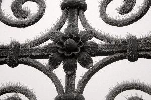 Frost on gate  in Neustadt, Germaany, neustadt