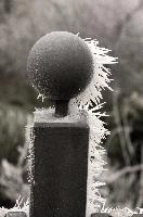 Frost on gate in Neustadt, Germaany, neustadt