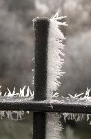 Frost on gate in Neustadt, Germaany, neustadt