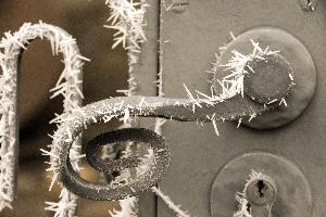 Frost on gate in Neustadt, Germaany, neustadt