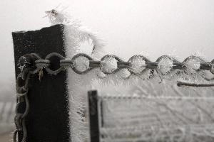 Frost on fence in Neustadt, Germaany, neustadt