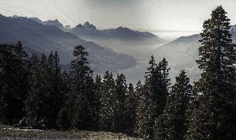 6310203480_f85ebe6d45_o.jpg