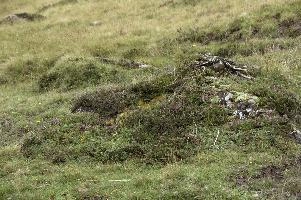 dsc_116046_4156061_2014_08_03_11_56_19_42.jpg