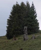 dsc_116103-dsc_116108_4156061_2014_08_03_12_28_55_24.jpg