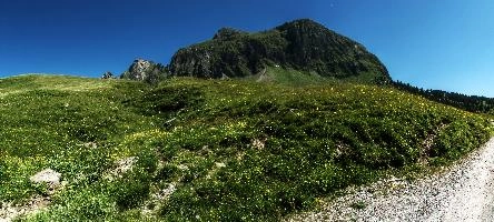 Alvier from Palfries, mountains, peak, switzerland, alvier, blue sky, meadow, alps, walking, sargans, sunshine, palfries, mountain, hiking, rock, rugged, outfoors, alpine, europe, spring, green, face, sheer