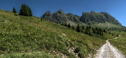 Alvier seen from Palfries, alvier, mountains, meadow, sargans, schweiz, palfries, alps