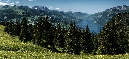 dsc_174101-dsc_174112.jpg