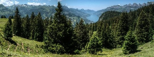 dsc_174140-dsc_174157.jpg