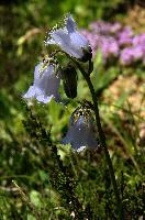 dsc_174221.jpg