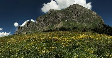 Alvier, meadow, alpine, europe, alps, sunshine, mountain, palfries, peak, sargans, outfoors, alvier, blue sky, hiking, walking, sheer, rugged, switzerland, mountains, green, spring, face, rock