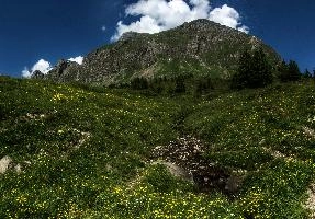 dsc_174416-dsc_174439.jpg