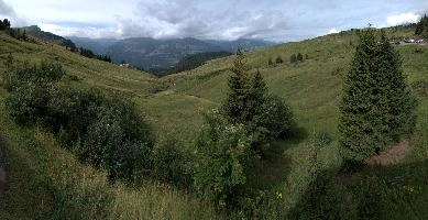 Alp Palfries, null