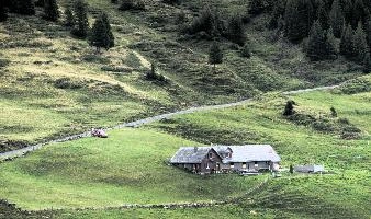 Alp Palfries, null