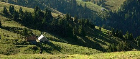 Berg Palfries, null