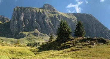 Alvier from Alp Palfries, walking, alvier, palfries, mountains, alps, switzerland, rugged, europe, hiking, rock, sargans, outdoors, peaks