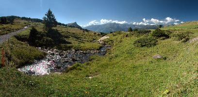 Alp Palfries, alps, summer, grazing, palfries, scenic, alpine, swiss, high, switzerland, walking, mountains, agriculture, gonzen, stream, hiking, pasture, meadow, grass, green, peak, bed