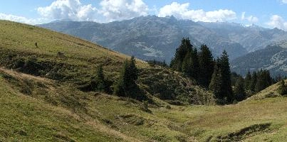 Berg Palfries, sargans, summer, outdoor, agriculture, pasture, meadow, switzerland, walking, europe, mountains, hiking, blue sky, rural, palfries, clouds