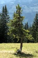 dsc_274729.jpg