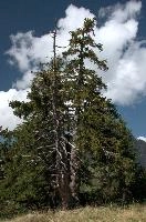 dsc_274731.jpg