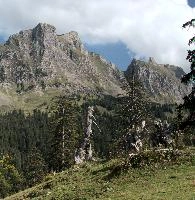 Alvier from Palfries, null