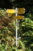 dsc_275001.jpg