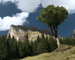Alvier, null