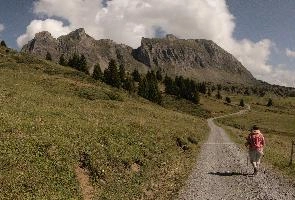 Alvier shot from Palfries in the Swiss Alps, crag, meadow, track, pasture, road, mountains, path, alps, hiking, alvier, walking, palfries, outdoors, sargans, summer, switzerland, rock, europe, rugged
