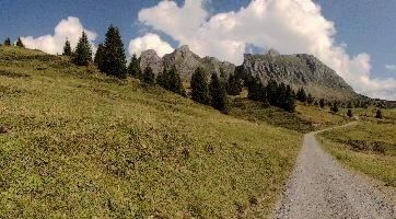 Alvier shot from Palfries in the Swiss Alps, crag, meadow, track, pasture, road, mountains, path, alps, hiking, alvier, walking, palfries, outdoors, sargans, summer, switzerland, rock, europe, rugged