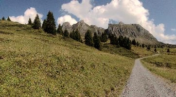 Alvier shot from Palfries in the Swiss Alps, crag, meadow, track, pasture, road, mountains, path, alps, hiking, alvier, walking, palfries, outdoors, sargans, summer, switzerland, rock, europe, rugged