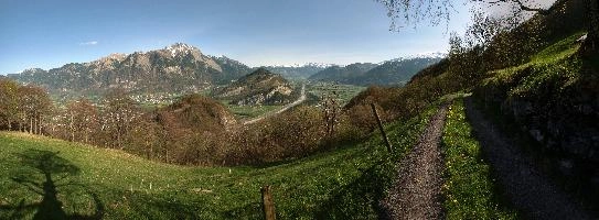 ValleyPathStoneWallAndTree.jpg