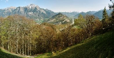 ValleyThroughTrees.jpg