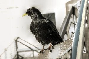 dsc_162839.jpg