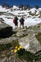 Alpine Denizens, sargans, alps, wangs, pizol, switzerland, mels, mountains