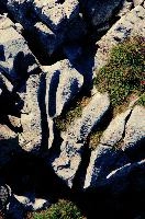 Beware, Large Cat, pizol, alps, switzerland, stone, rock, sargans, mountains, schweiz, wangs, hiking, mels, glacial, walking