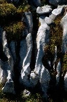 dsc_186825.jpg