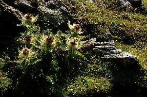 dsc_186982.jpg