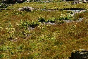 dsc_187112.jpg