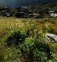 dsc_187114-dsc_187119.jpg