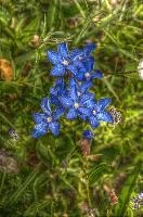 mantiuk_4042.jpg