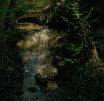 Waterfall near Rapperwil, rapperswil, waterfall, zuerich, schweiz, woods