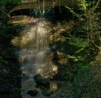 Falling, rapperswil, waterfall, zuerich, schweiz, woods